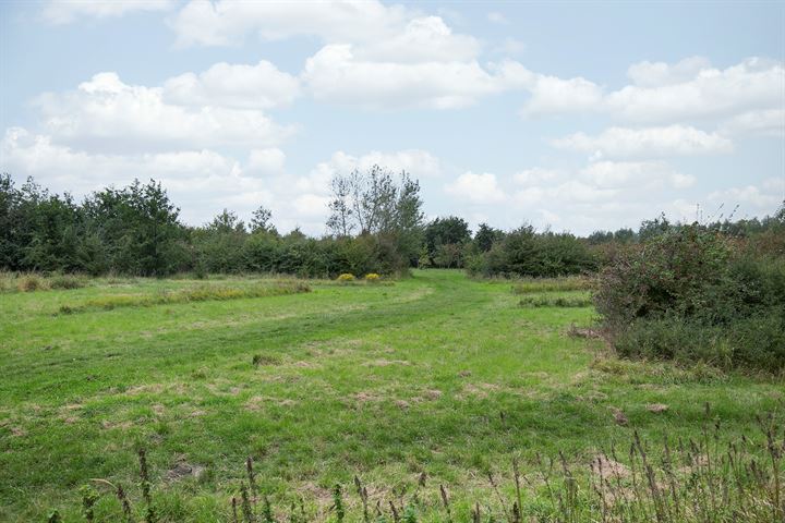 View photo 34 of Zwaanweg 12