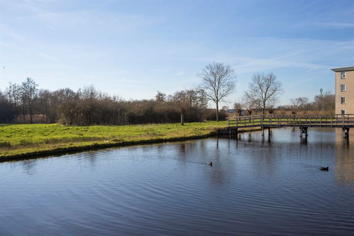 Bekijk foto 49 van Boezelgracht 15