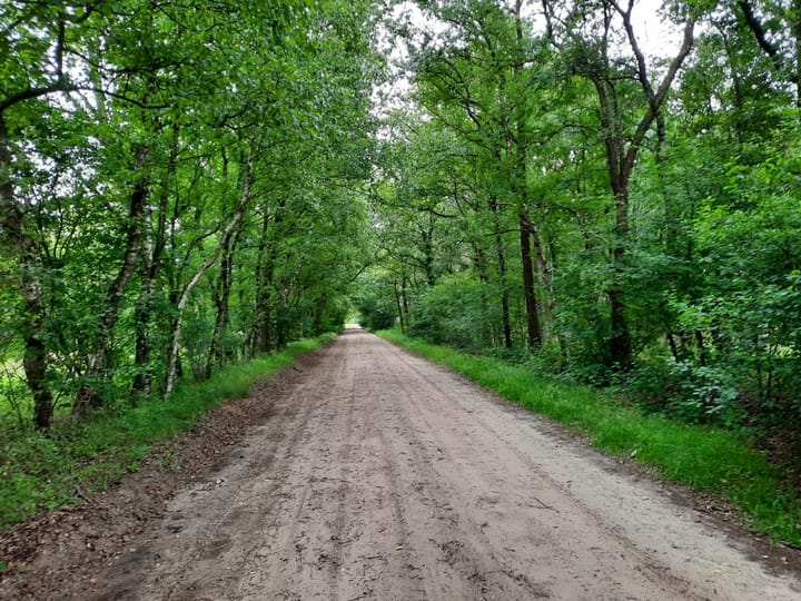 Foto 34 van Haarweg 15-B28