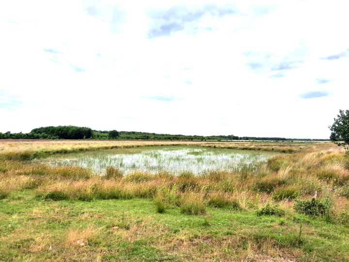 Foto 36 van Haarweg 15-B28