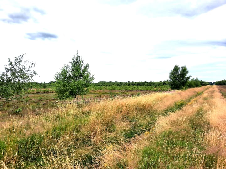 Foto 37 van Haarweg 15-B28