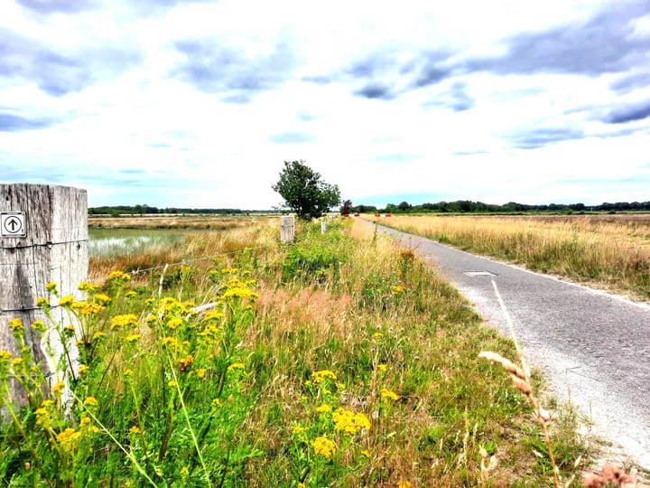 Foto 38 van Haarweg 15-B28