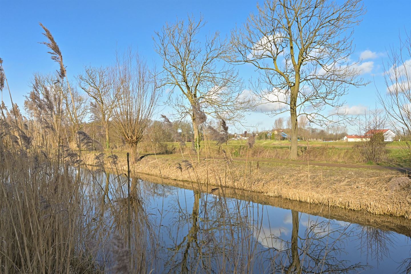 Bekijk foto 3 van Laan van Zuid Hoorn 55