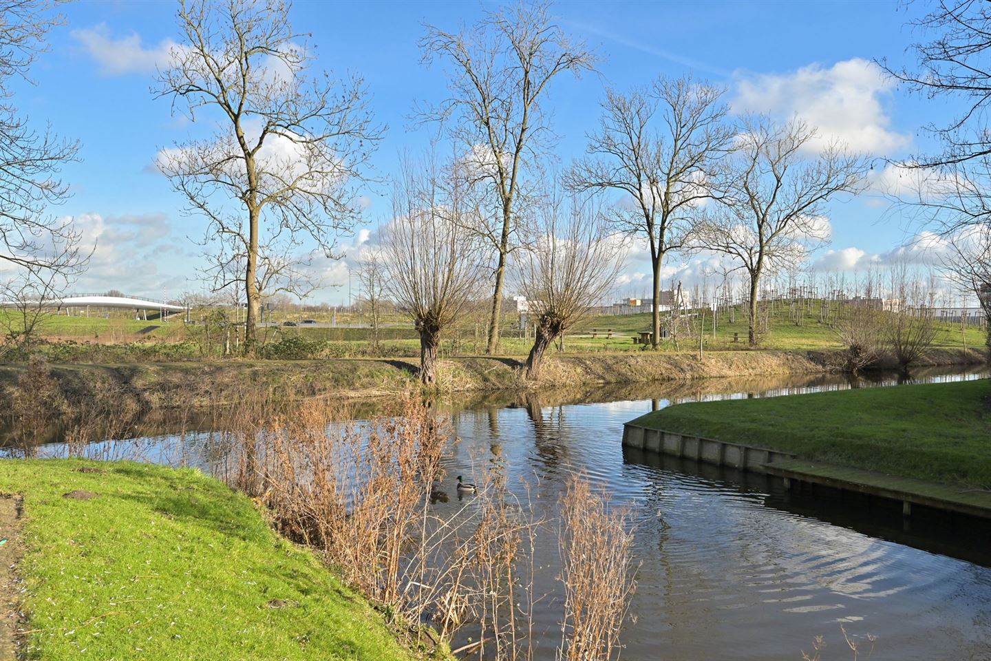 Bekijk foto 4 van Laan van Zuid Hoorn 55