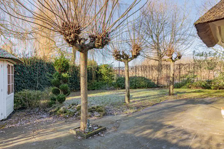 Foto 41 van Bakboord 2