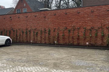 Bekijk foto's