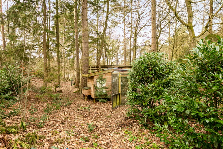 Bekijk foto 32 van Fazantenbosweg 20