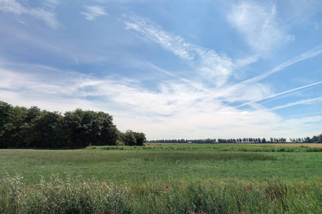 Bekijk foto 3 van aan de Vrouwenpolderseweg