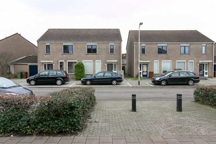 Noordberghmoeren - Type IV met garage