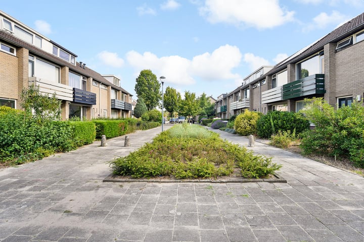 Bergschot- Hoekwoning