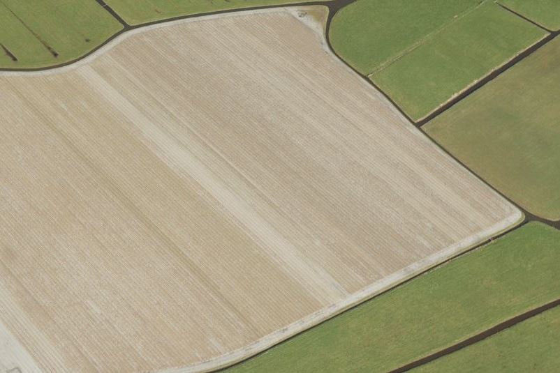 Bekijk foto 1 van rijnsburgerweg