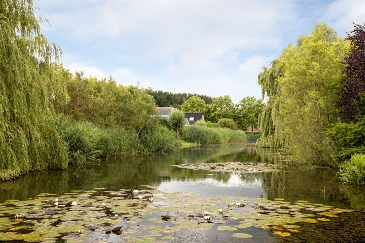 Bekijk foto 19 van Bosruiterweg 25-115