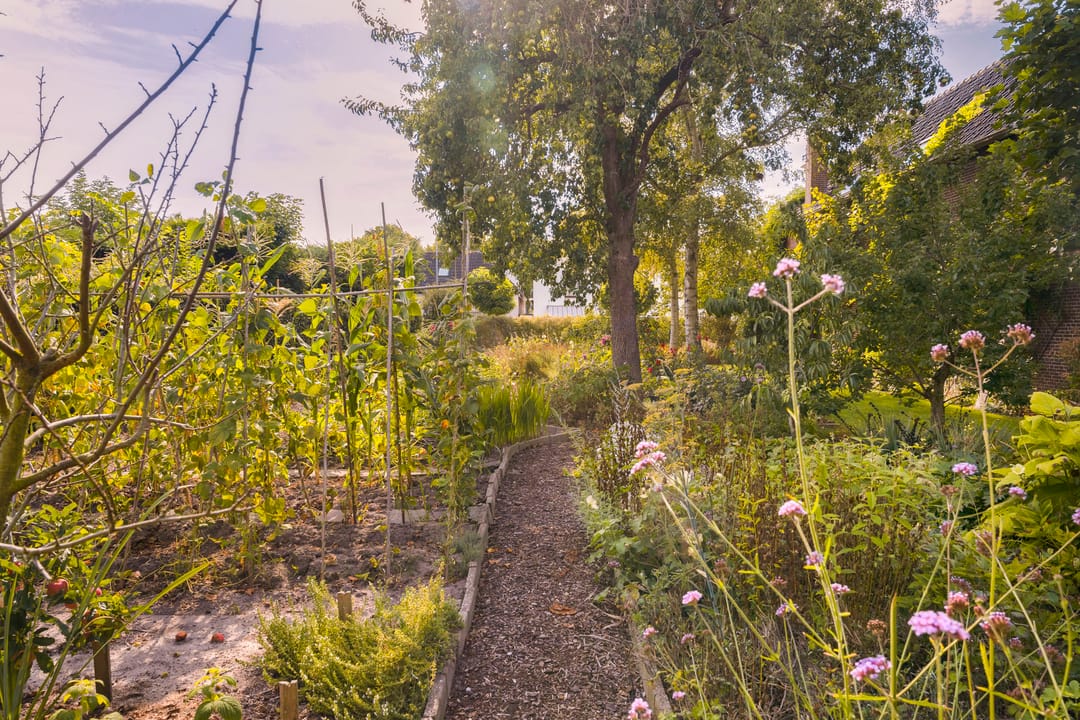 Foto 41 van Voorstraat 10