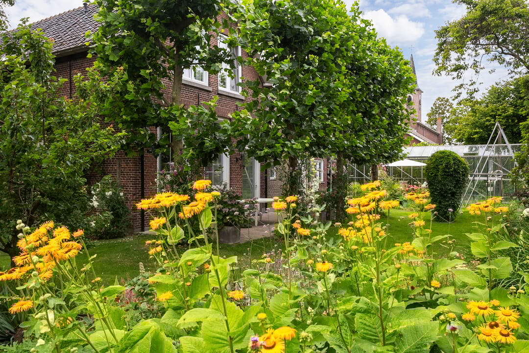 Foto 43 van Voorstraat 10