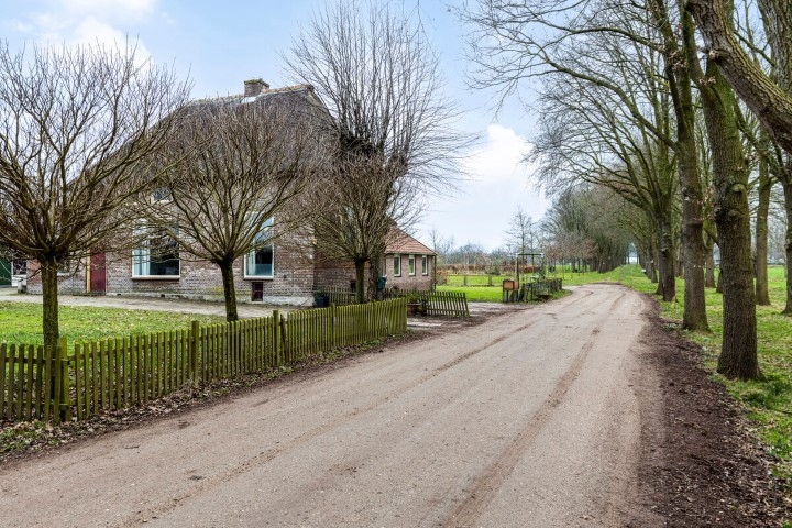 Bekijk foto 4 van Beukenlaan 4
