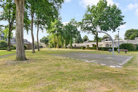 Foto 4 van Bergschot