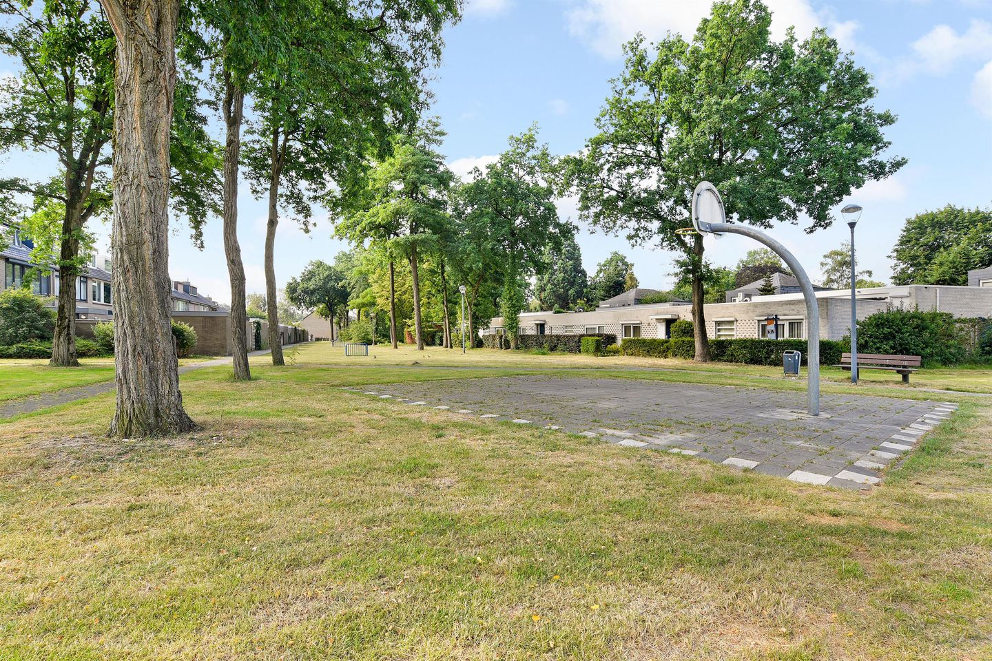 Foto 4 van Bergschot