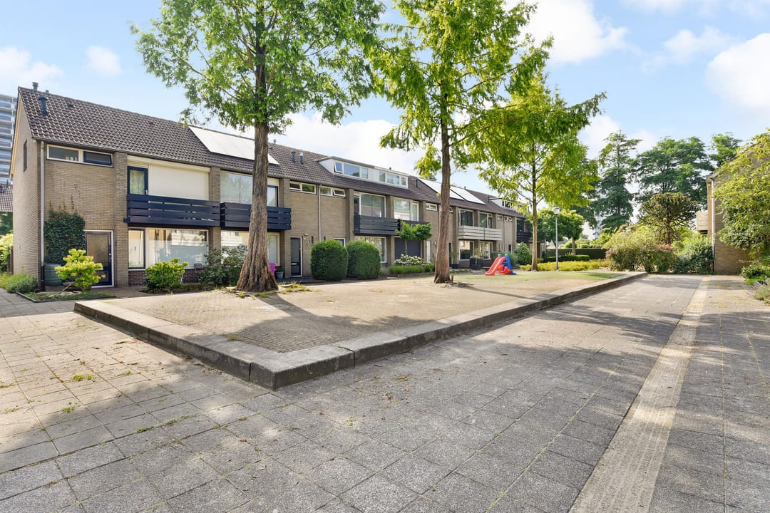 Foto 1 van Bergschot