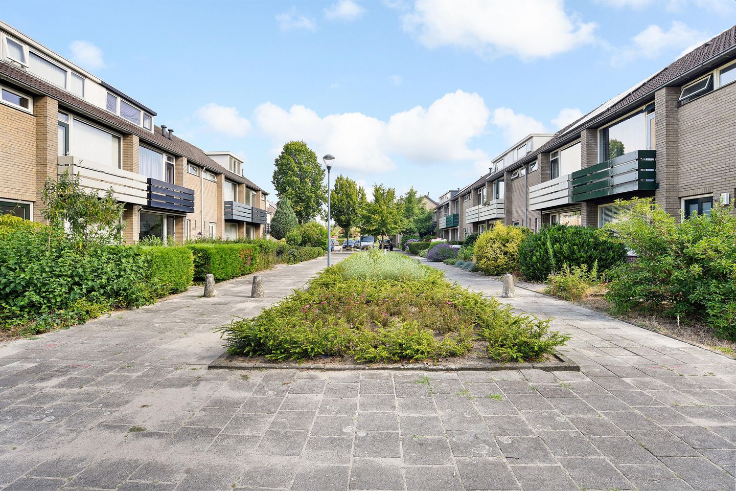 Foto 3 van Bergschot