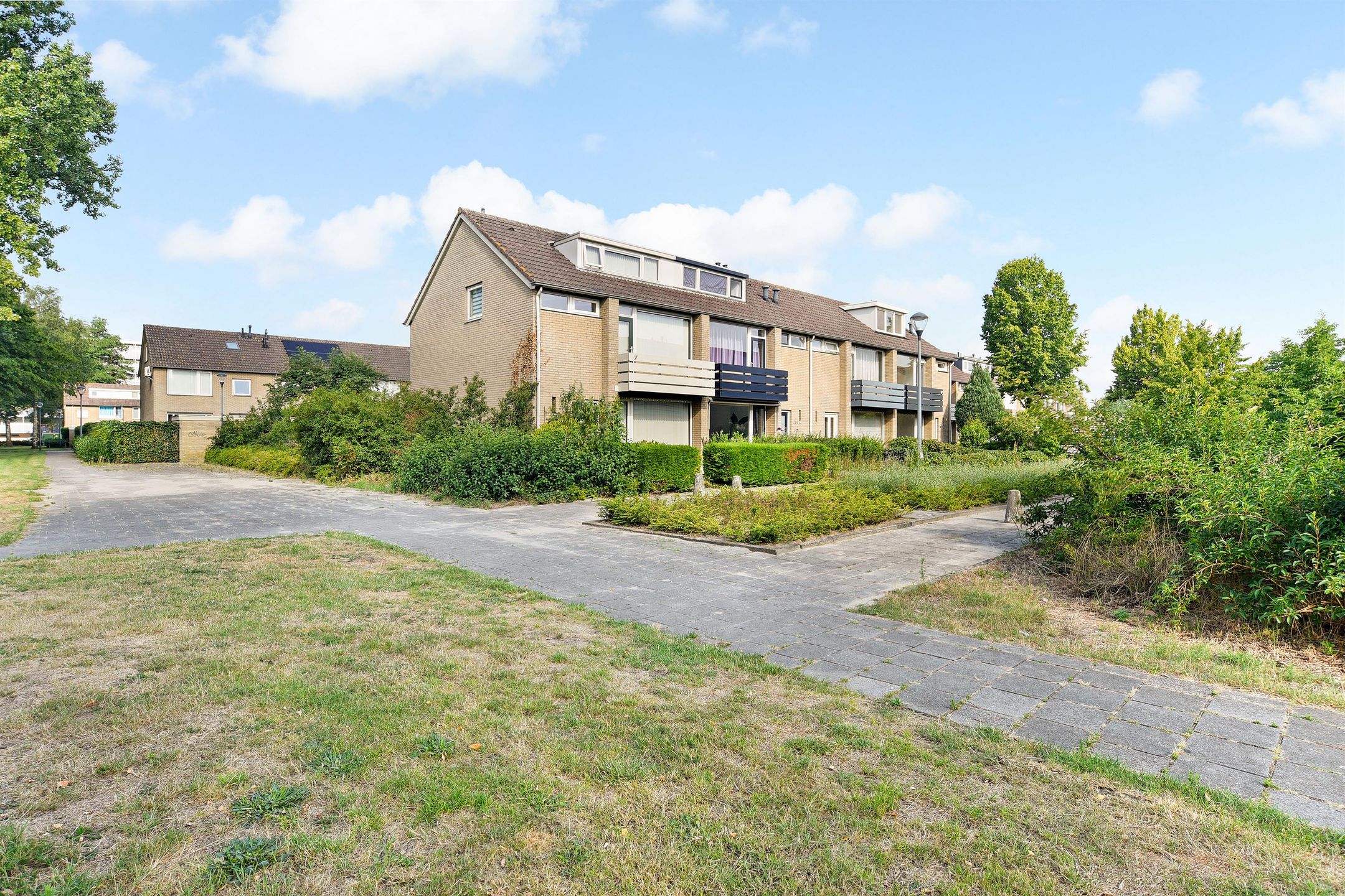 Foto 2 van Bergschot