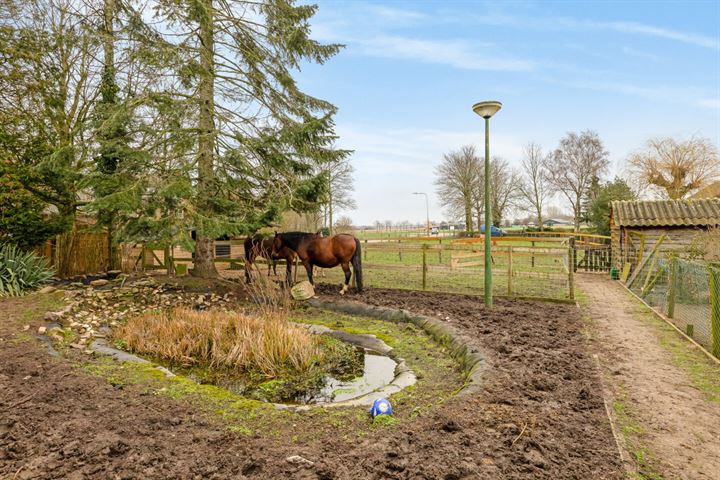 Bekijk foto 52 van Nijburgsestraat 3