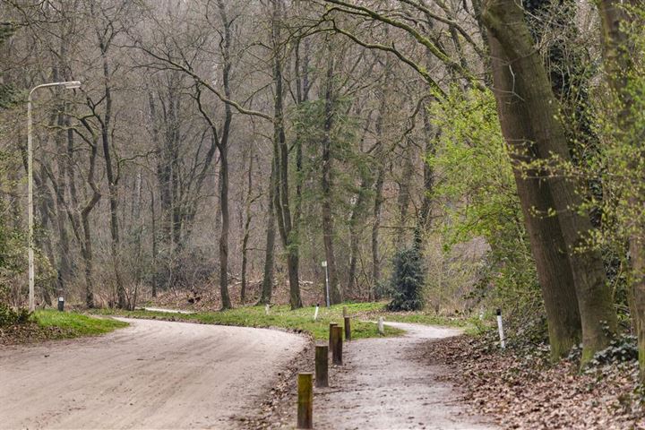 Bekijk foto 33 van Arnhemseweg 53