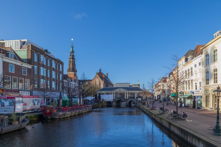 Nieuwe Rijn 31, Leiden