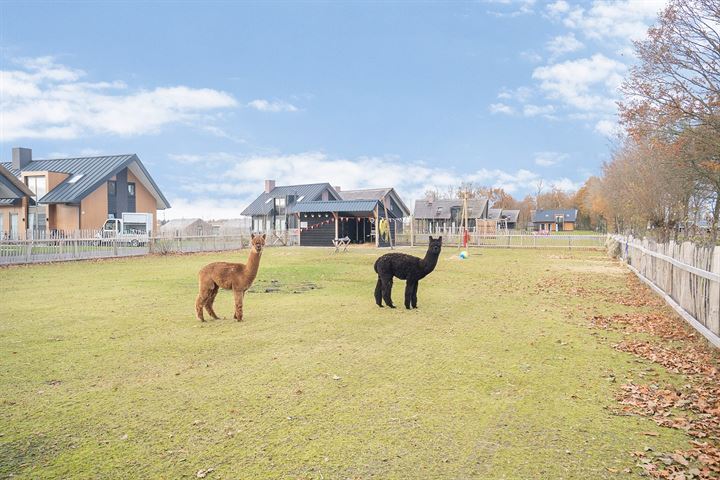 Bekijk foto 36 van Flevoweg 90-K446