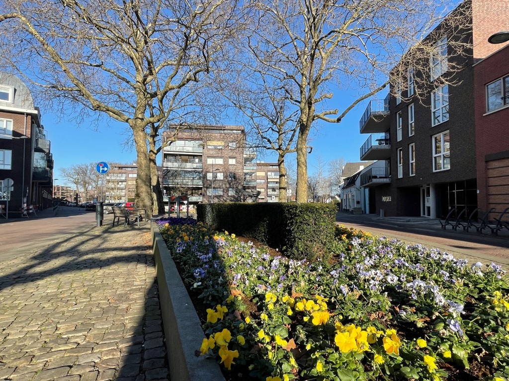 Bekijk foto 4 van Karel Mollenstraat Zuid 44 b