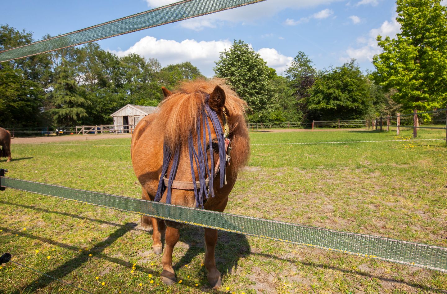Foto 25 van Meekertweg 4