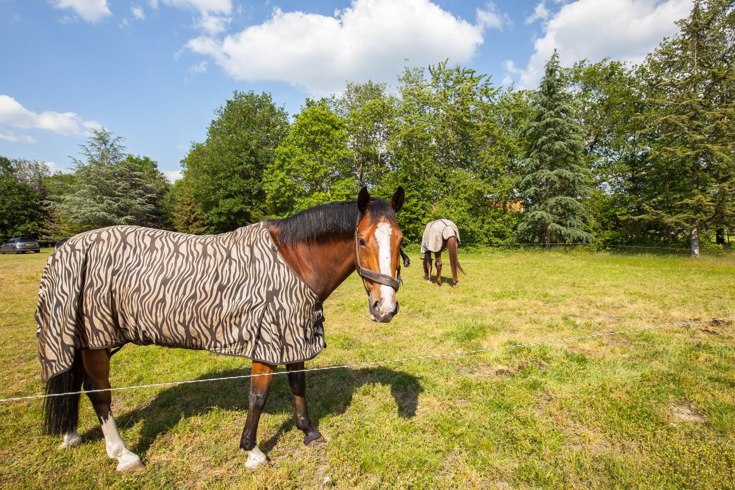 Foto 29 van Meekertweg 4