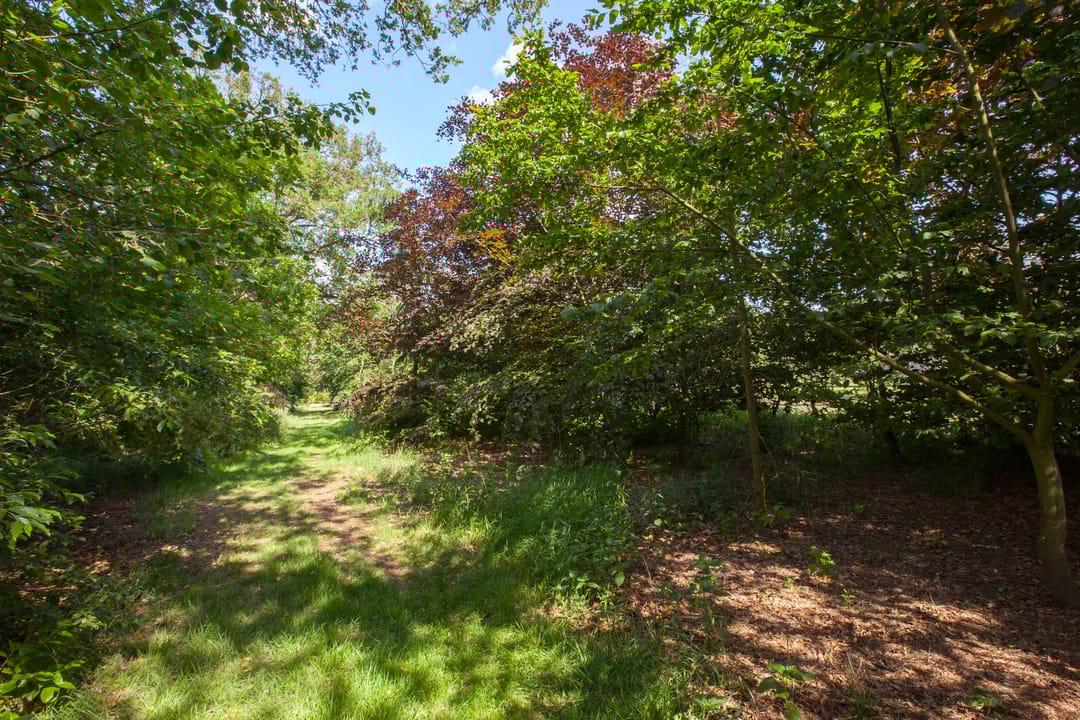 Foto 32 van Meekertweg 4