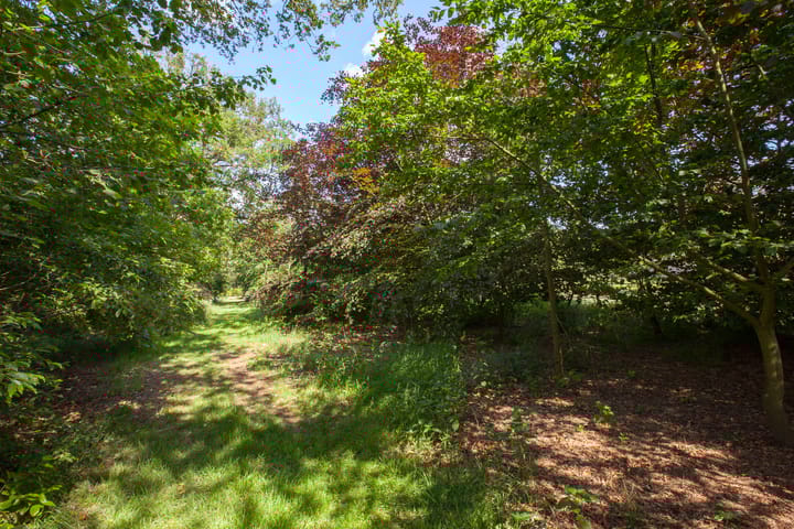 Foto 32 van Meekertweg 4