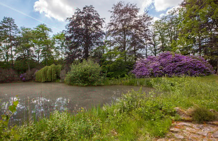 Foto 28 van Meekertweg 4