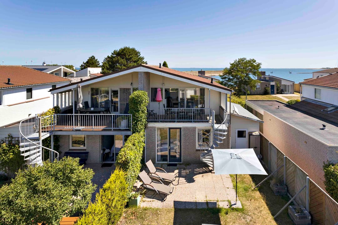 Photo 2 of Ostrea 18