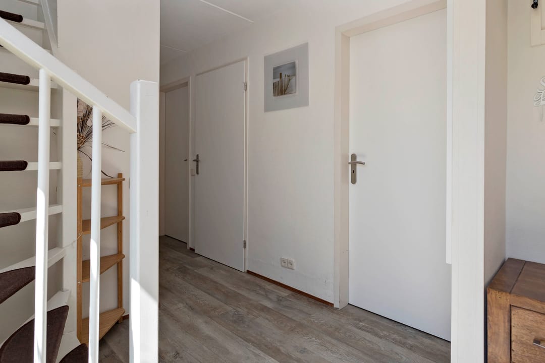 Photo 8 of Ostrea 18