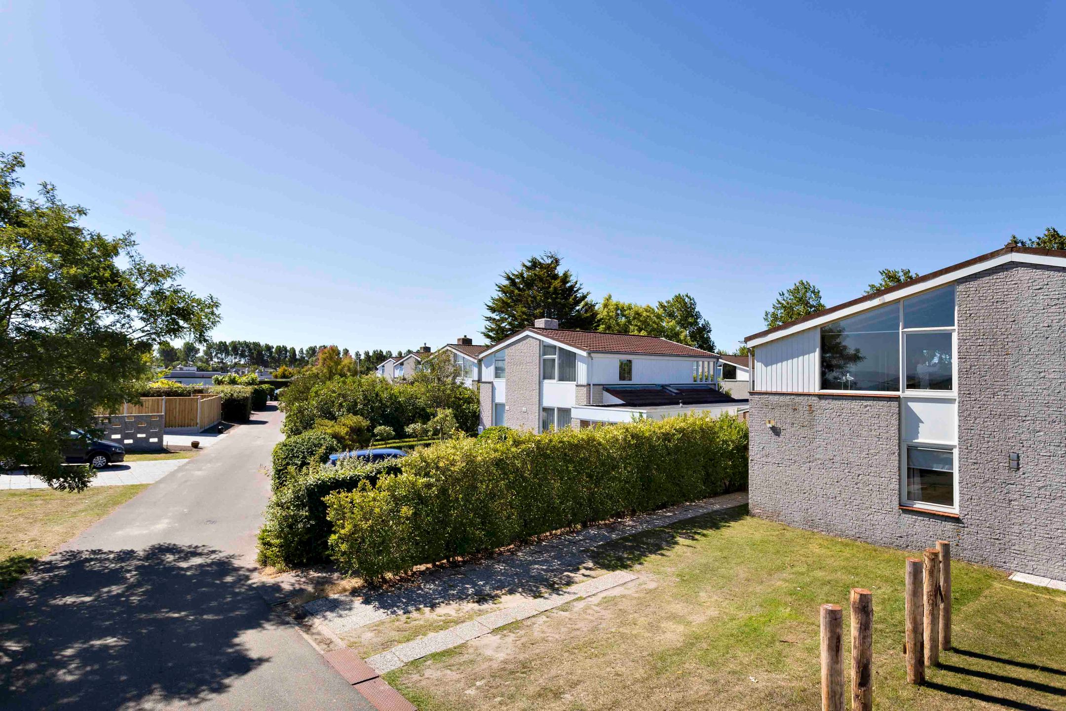 Photo 24 of Ostrea 18