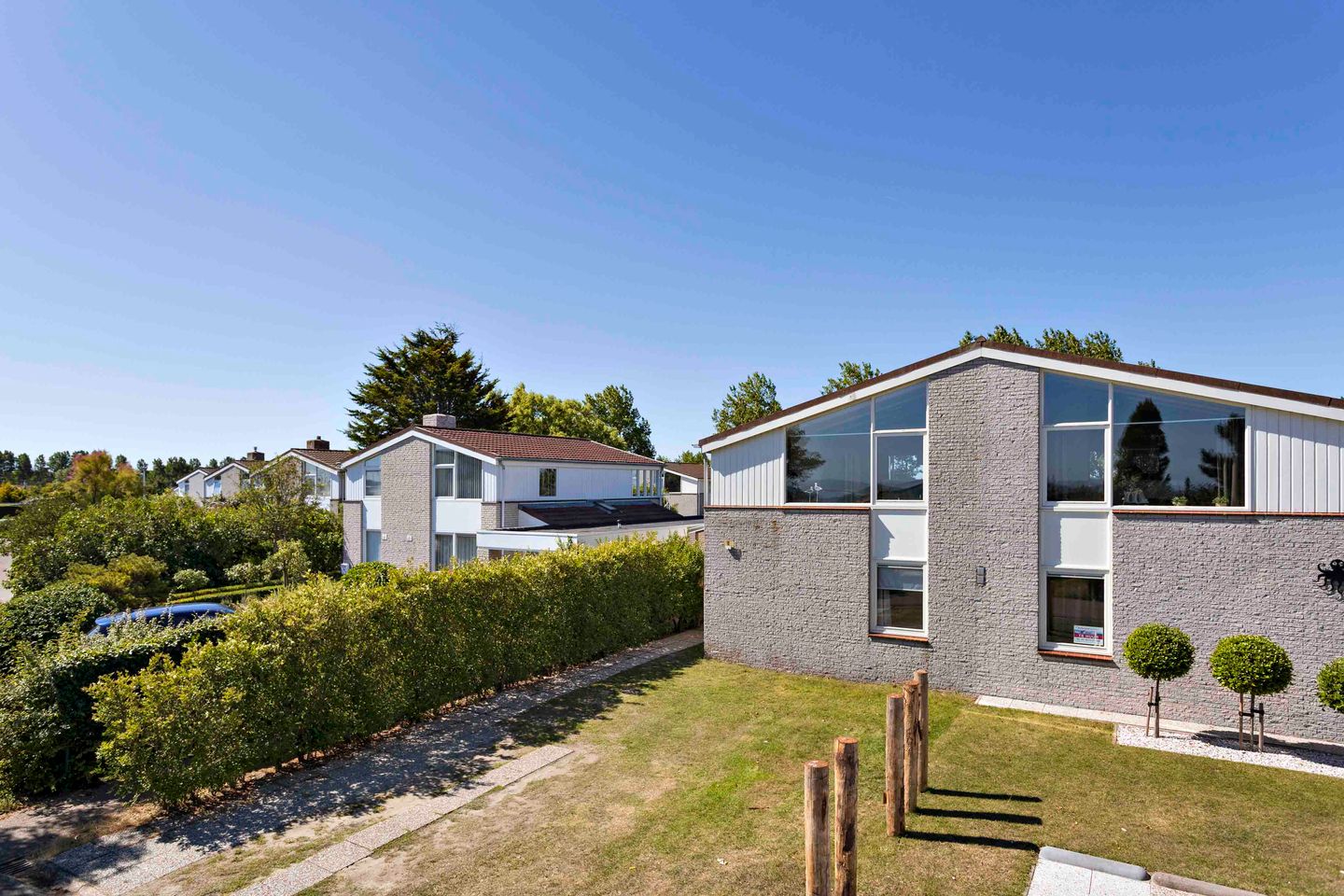 Photo 25 of Ostrea 18