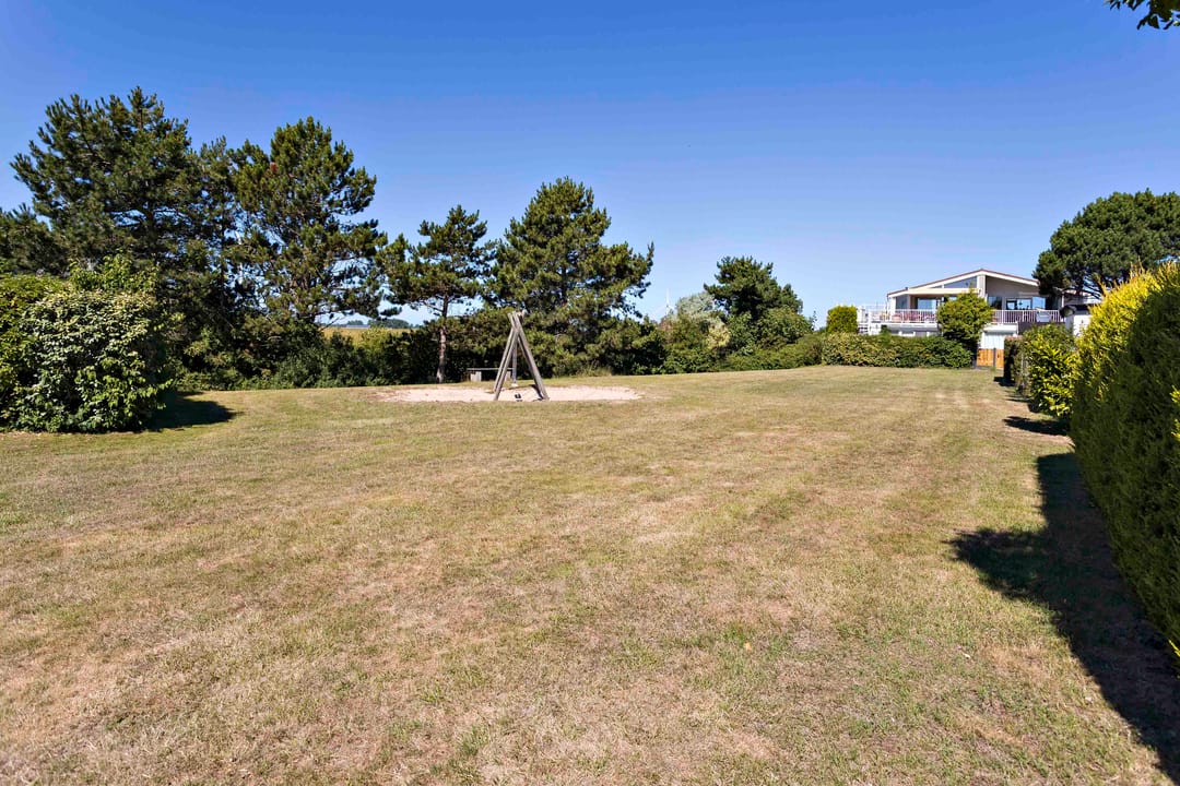 Photo 26 of Ostrea 18