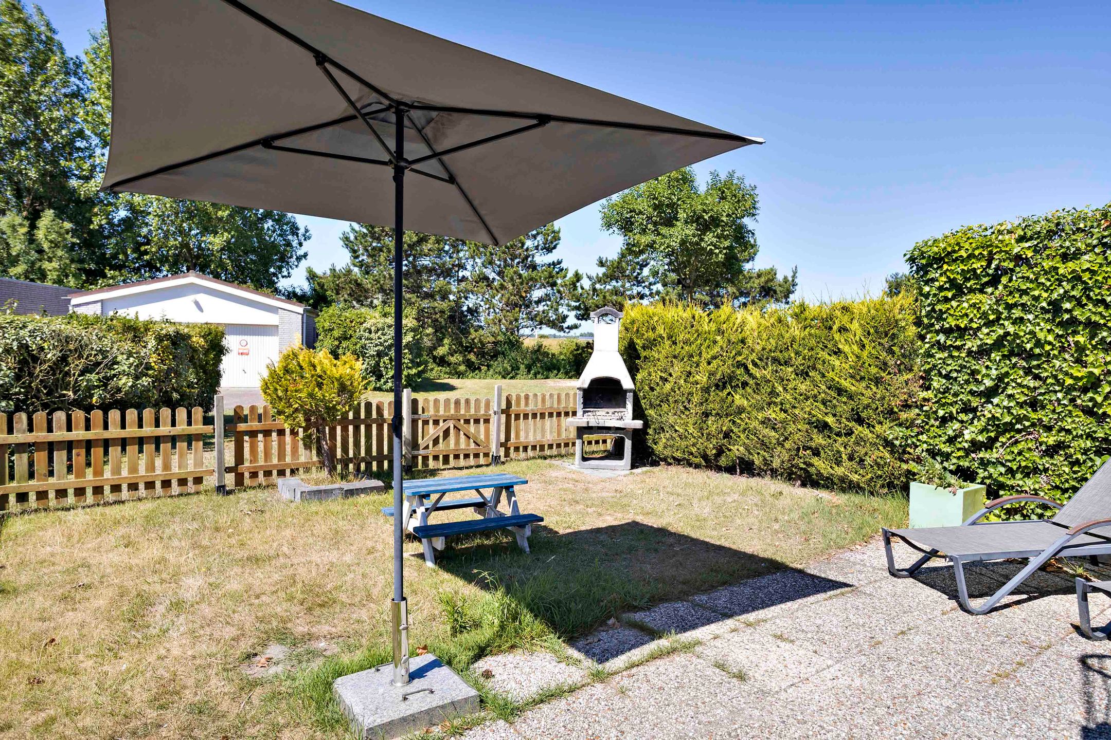 Photo 21 of Ostrea 18