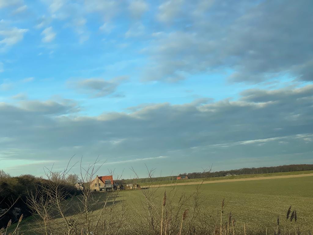 Bekijk foto 1 van Sit Bavodijk