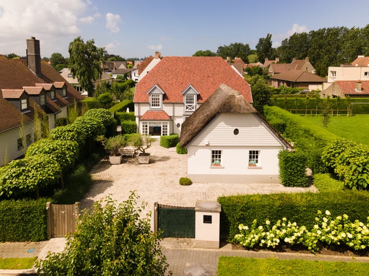 Foto 2 van Platanen 16