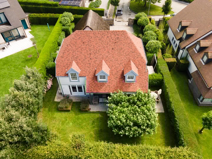 Foto 3 van Platanen 16