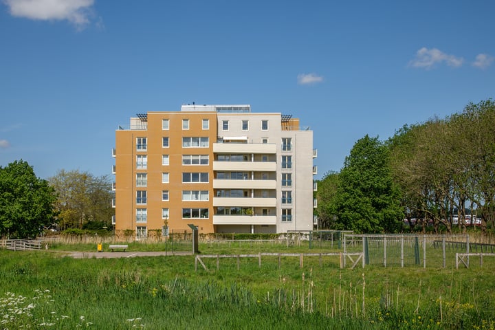 Noord XIII - Type F