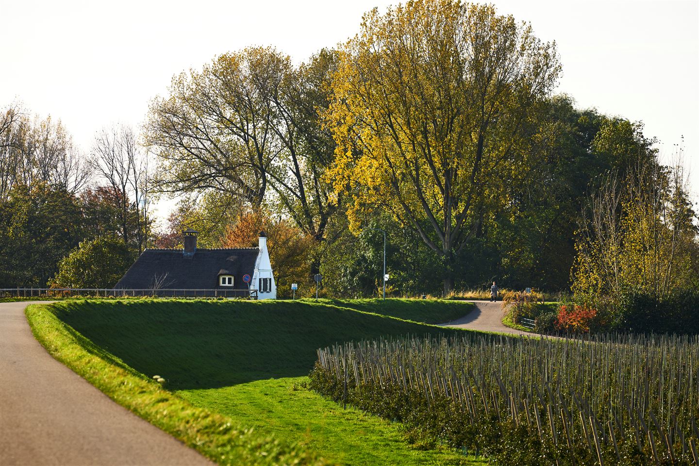 Bekijk foto 5 van Hoofdstraat