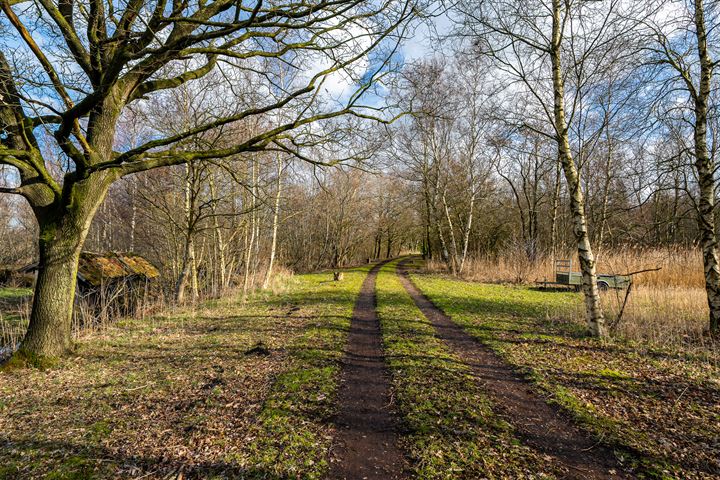 Bekijk foto 9 van Ds. van der Veenweg 5