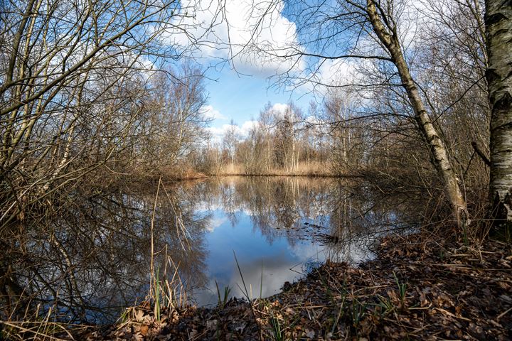 Bekijk foto 25 van Ds. van der Veenweg 5