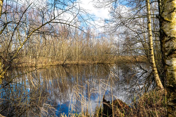 Bekijk foto 26 van Ds. van der Veenweg 5