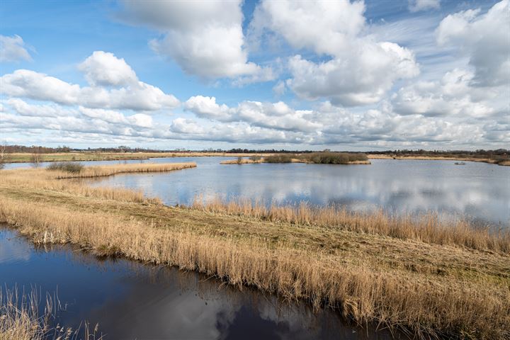 Bekijk foto 29 van Ds. van der Veenweg 5