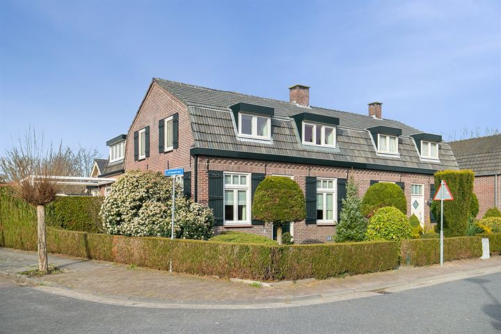 Bekijk foto 3 van Dommelstraat 25